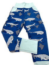 Load image into Gallery viewer, Canaveral  Whale Shark Knee Patch & Pockets Joggers