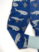 Load image into Gallery viewer, Canaveral  Whale Shark Knee Patch &amp; Pockets Joggers