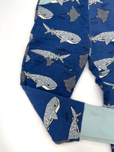 Load image into Gallery viewer, Canaveral  Whale Shark Knee Patch & Pockets Joggers