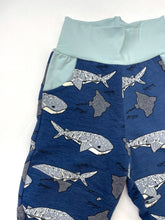Load image into Gallery viewer, Canaveral  Whale Shark Knee Patch & Pockets Joggers