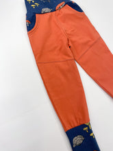 Load image into Gallery viewer, Canaveral Ginger Mushroom Joggers