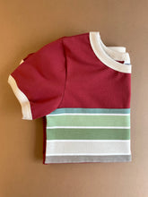 Load image into Gallery viewer, Zion Retro Meadow Stripe Applique Organic Tee