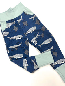Canaveral  Whale Shark Knee Patch & Pockets Joggers