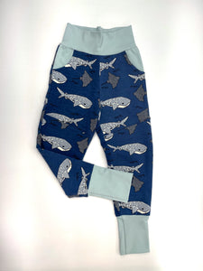 Canaveral  Whale Shark Knee Patch & Pockets Joggers